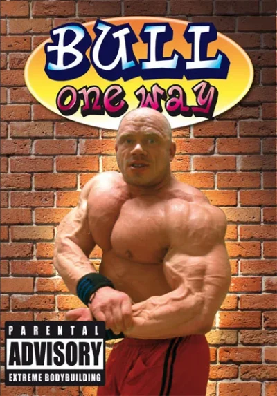 bull_oneway.webp