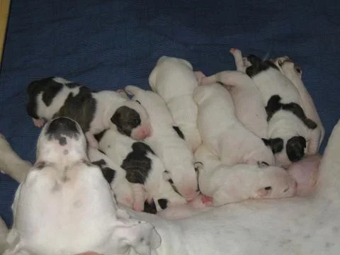 joulu 07 ja hauvat 072.webp