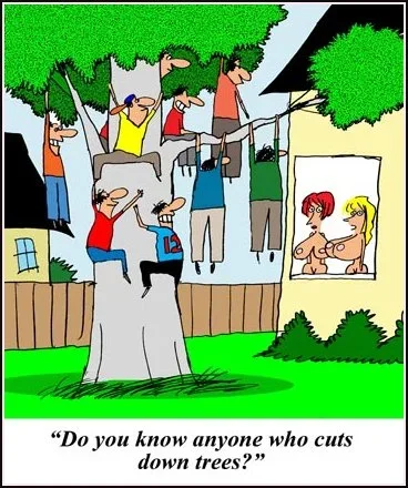 treecutter.webp