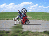 Walking-bike.gif