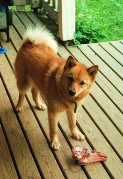 IMG_6081 - Copy.webp