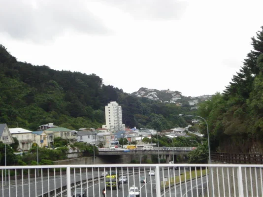 DSC00543.webp DSC00543.webp