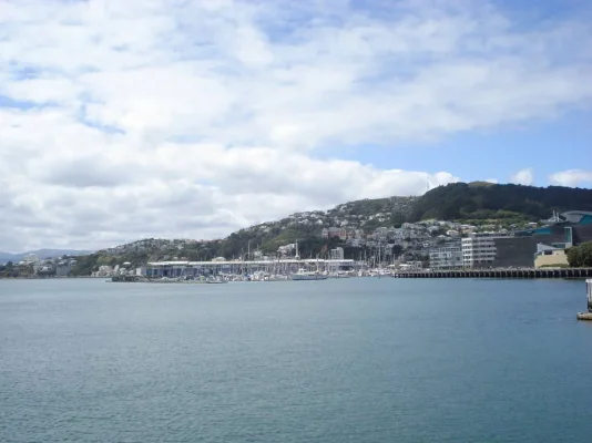 DSC00559.webp DSC00559.webp