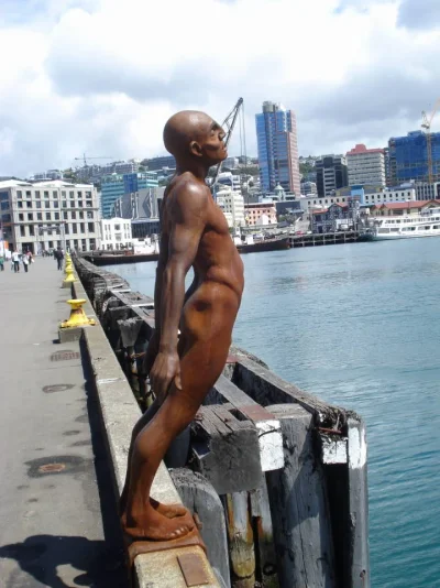 DSC00562.webp DSC00562.webp