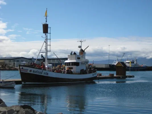 4Husavik.webp