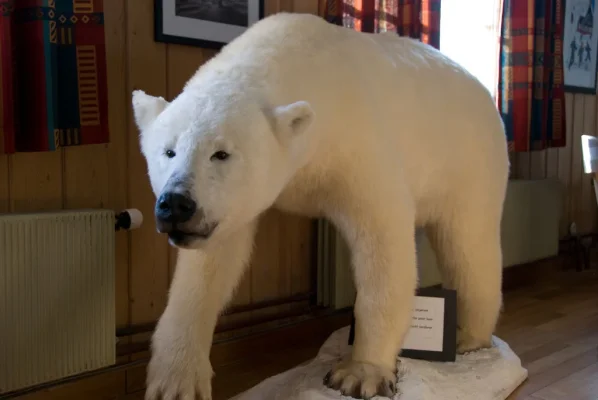 3 (7 of 93).webp 3 (7 of 93).webp