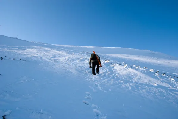 3 (10 of 93).webp 3 (10 of 93).webp