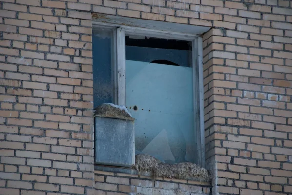 3 (47 of 93).webp 3 (47 of 93).webp