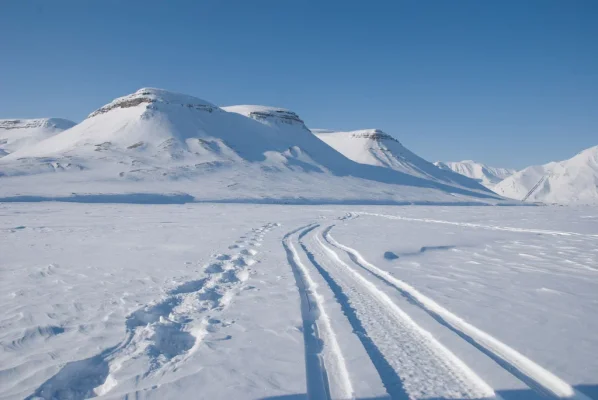 3 (52 of 93).webp 3 (52 of 93).webp