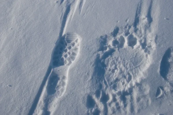 3 (51 of 93).webp 3 (51 of 93).webp