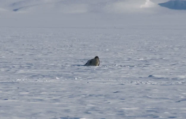 3 (53 of 93).webp 3 (53 of 93).webp