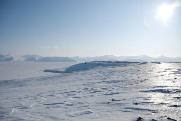 3 (56 of 93).webp 3 (56 of 93).webp