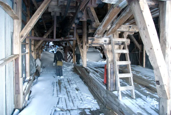 3 (61 of 93).webp 3 (61 of 93).webp