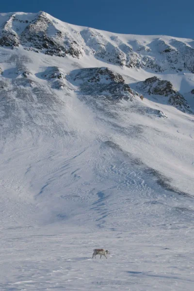 3 (76 of 93).webp 3 (76 of 93).webp