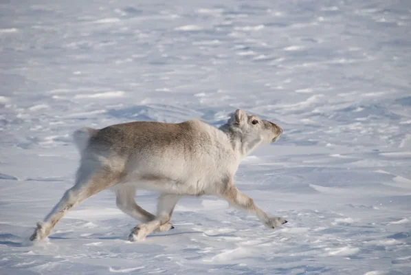 3 (77 of 93).webp 3 (77 of 93).webp