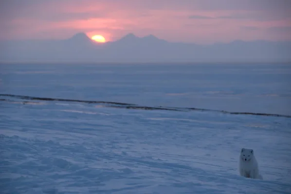 3 (84 of 93).webp 3 (84 of 93).webp