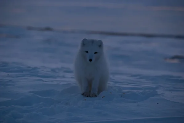 3 (87 of 93).webp 3 (87 of 93).webp