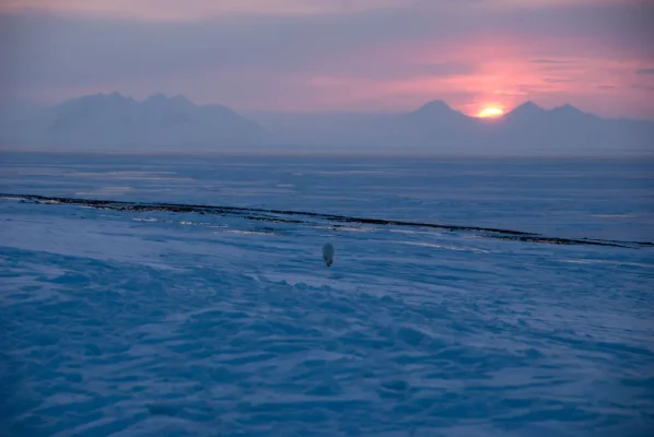 3 (86 of 93).webp 3 (86 of 93).webp