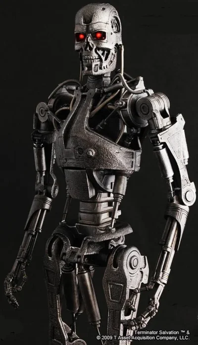 T-700endo5.webp