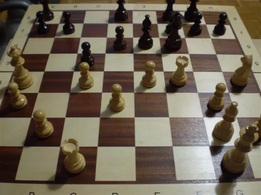 P7200021 (Small).webp