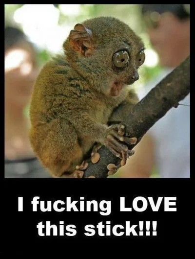 love this stick.webp