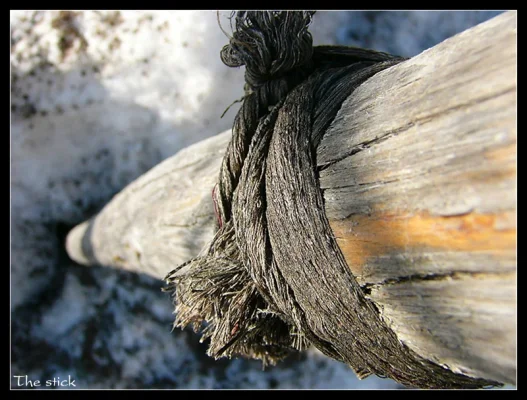 stick.webp stick.webp