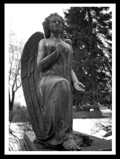 angel.webp angel.webp