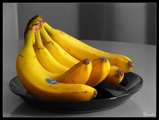 fresh.webp fresh.webp