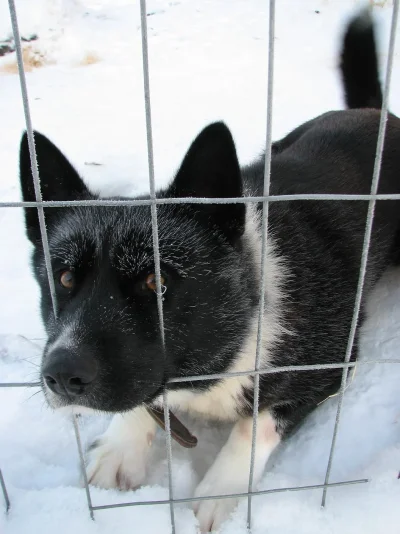 IMG_0476.webp IMG_0476.webp