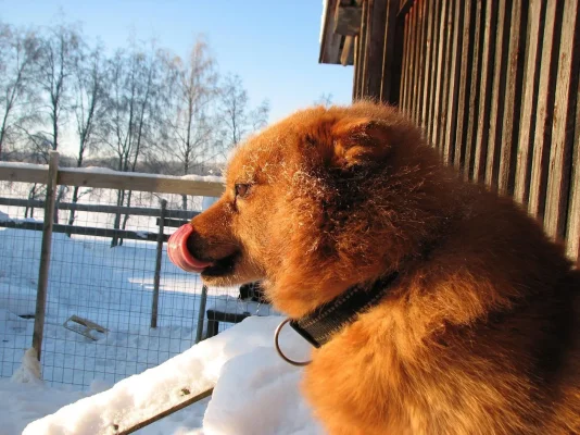 IMG_0493.webp IMG_0493.webp