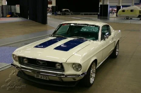 mustang.webp