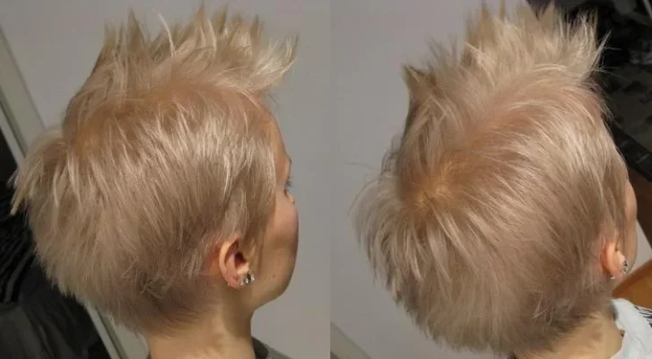 mini-2010-02-21 01&#.webp