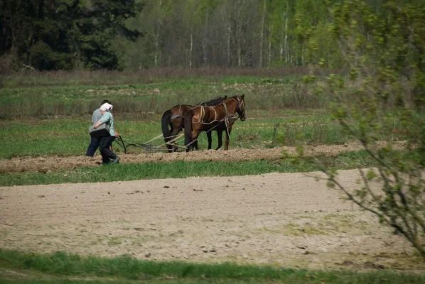 Ukraina (20 of 182).webp Ukraina (20 of 182).webp