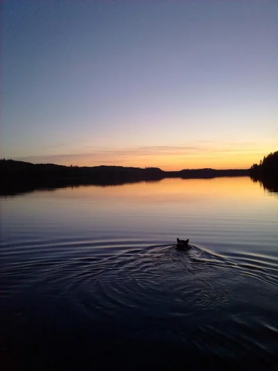 130520102692.webp 130520102692.webp