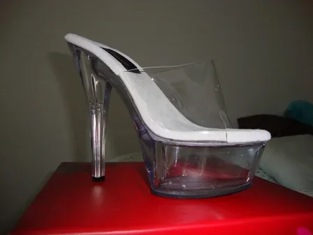 Pleaser shoes.webp