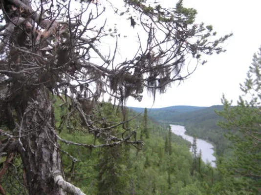 Ivalojoki 093.webp Ivalojoki 093.webp