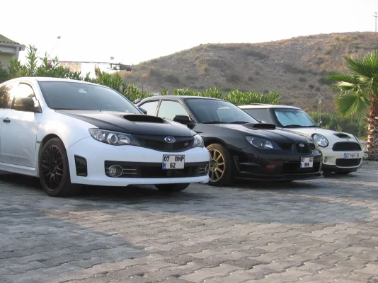 Kiesit.webp Kiesit.webp