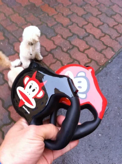 flexit.webp flexit.webp