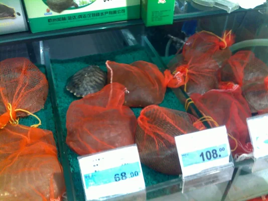 041020101776.webp 041020101776.webp