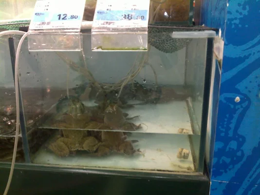 041020101774.webp 041020101774.webp