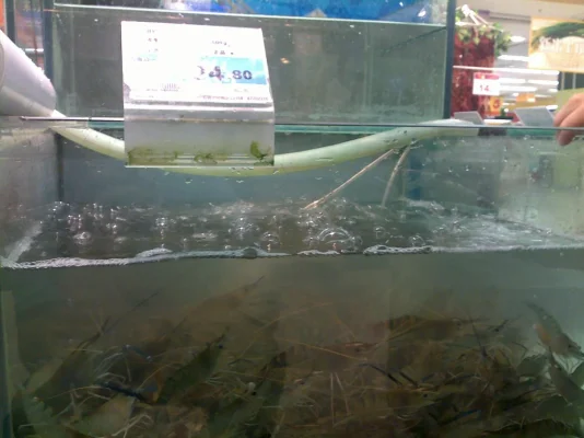 041020101775.webp 041020101775.webp