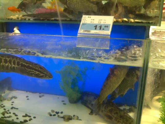 041020101772.webp 041020101772.webp