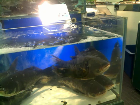 041020101773.webp 041020101773.webp