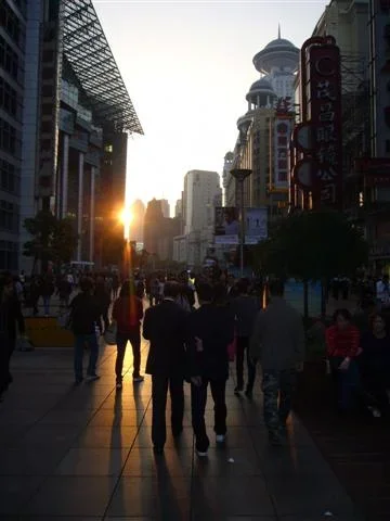 P1010938 (Small).webp P1010938 (Small).webp