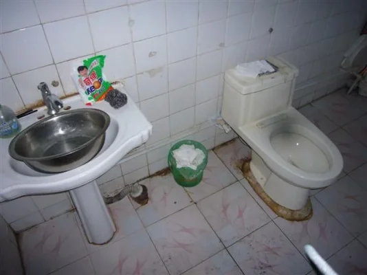 P1010751 (Small).webp