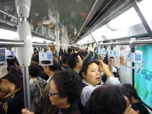 P1010887 (Small).webp P1010887 (Small).webp