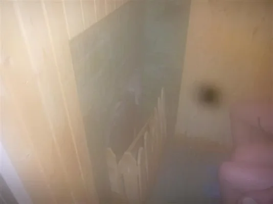 P1010757 (Small).webp