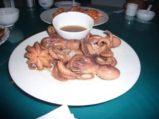 P1010747 (Small).webp P1010747 (Small).webp