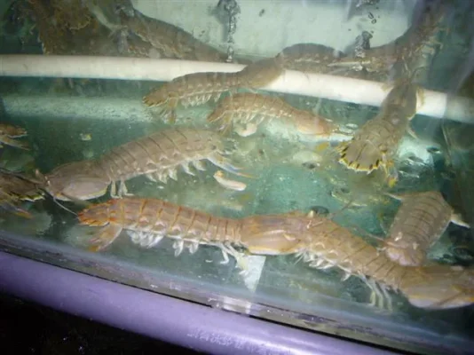 P1010653 (Small).webp P1010653 (Small).webp