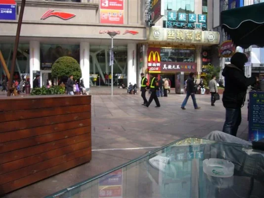 P1010549 (Small).webp P1010549 (Small).webp